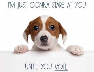 vote-puppy-1
