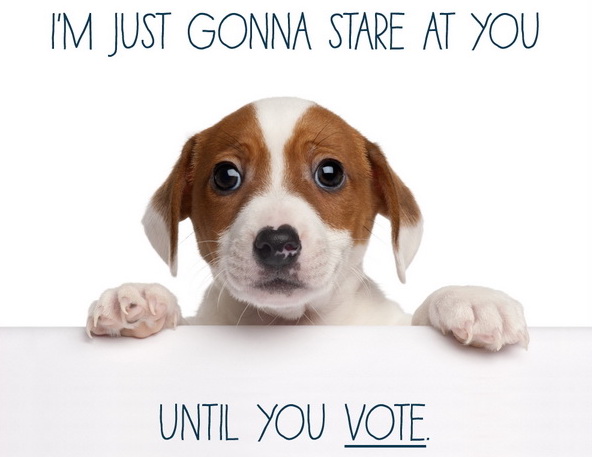 vote-puppy-1.jpg